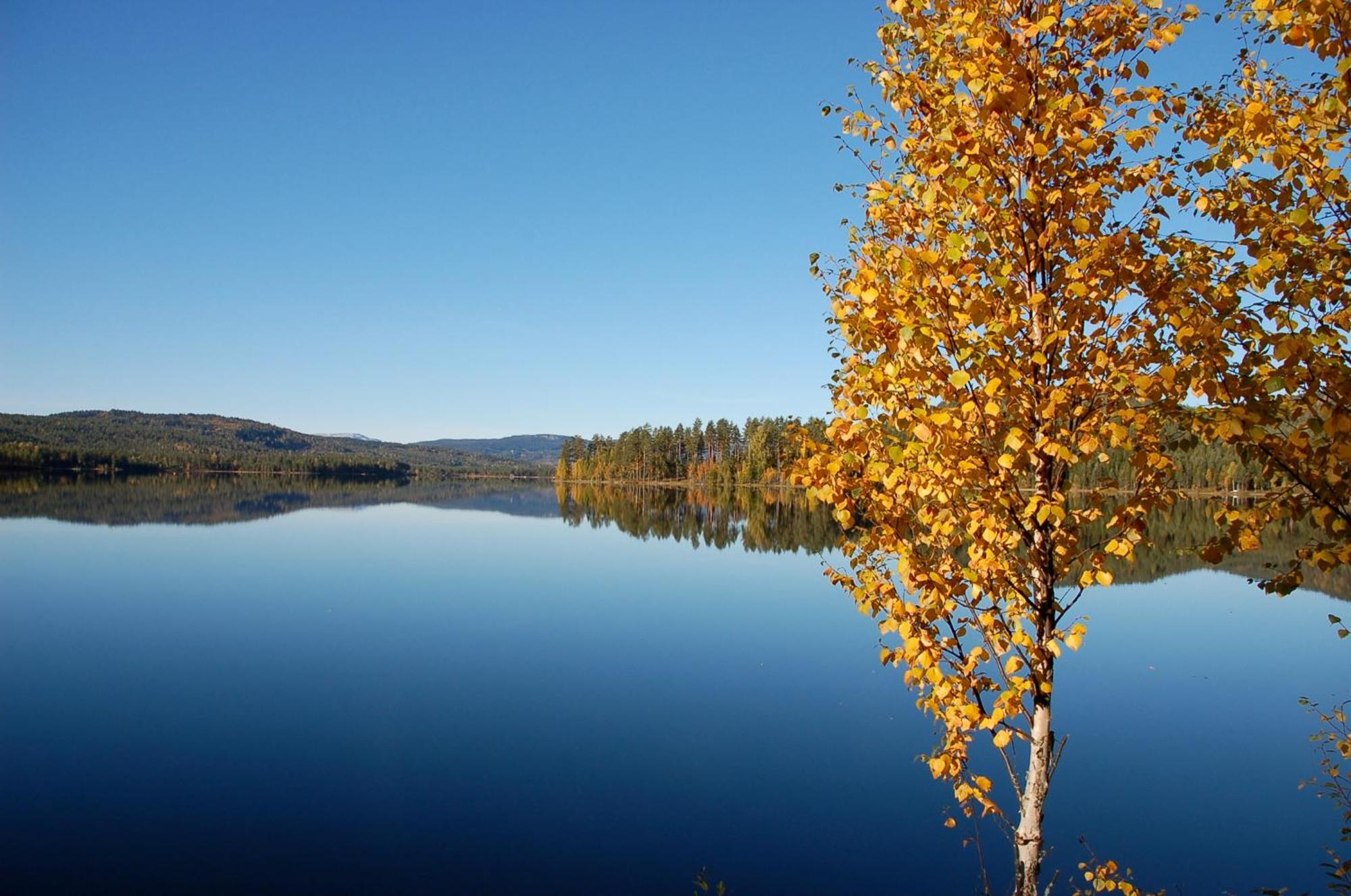 Вилла Halvorseth Prestfoss Экстерьер фото