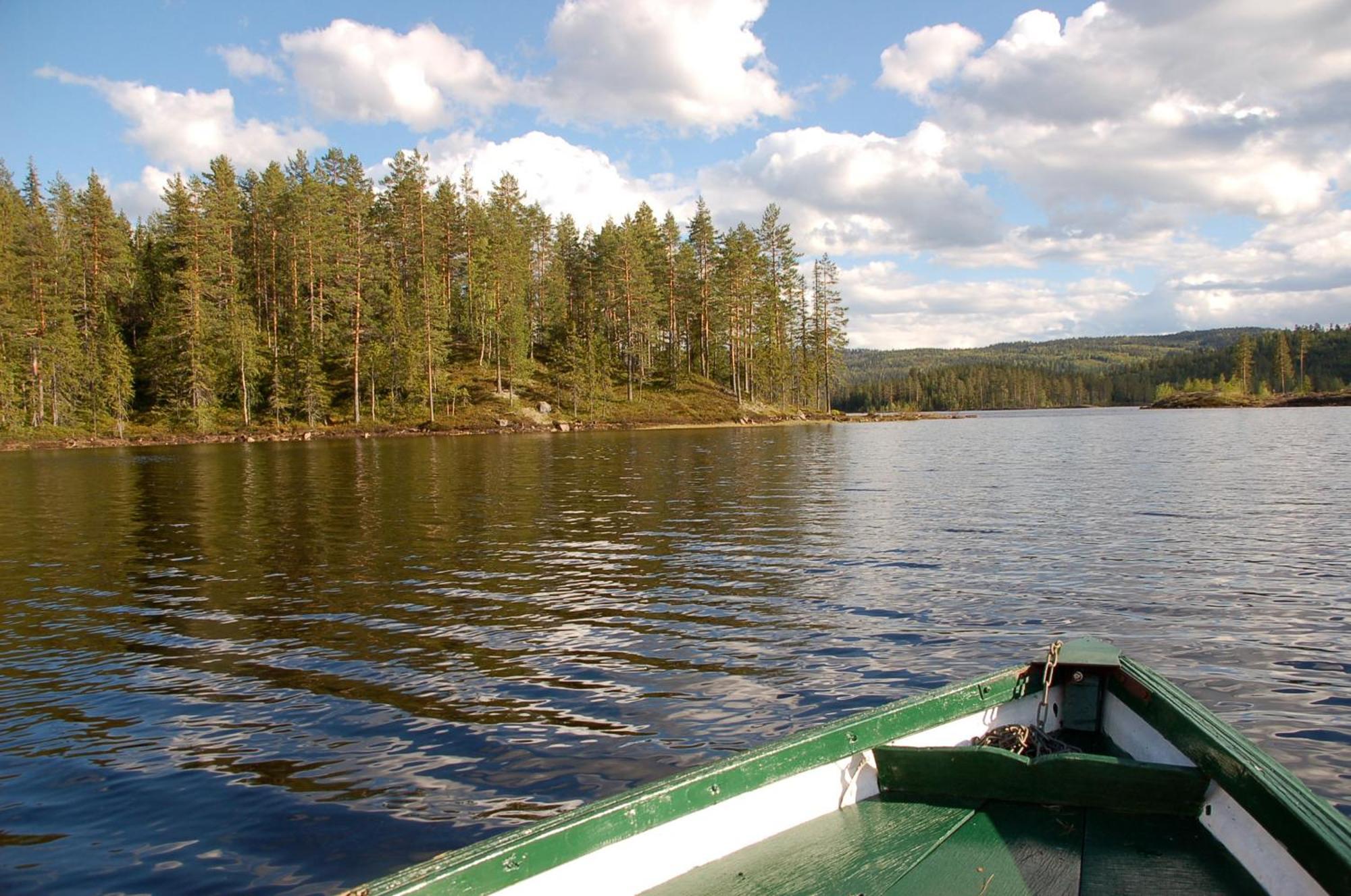 Вилла Halvorseth Prestfoss Экстерьер фото
